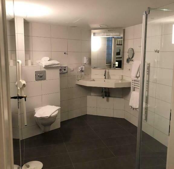 اتاق استاندارد یک نفره, Logis Hôtel Ettenheim