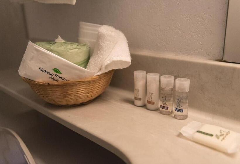 غرفة قياسية سرير كينج, Radium Park Lodge