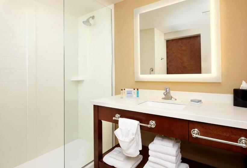 장애인을 위한 수피리어 룸, Hawthorn Suites By Wyndham Bridgeport