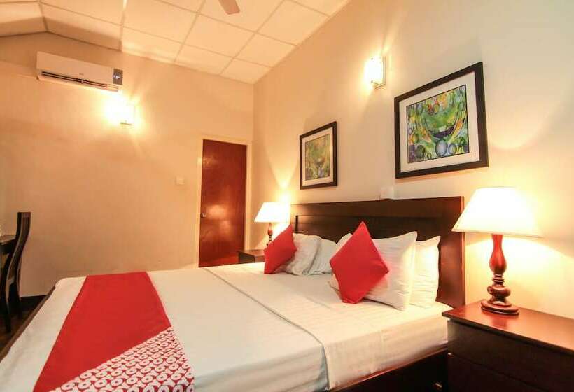 标准间, Tropic Inn