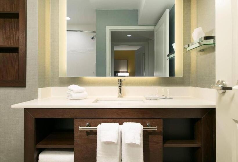 带大床的套房, Residence Inn By Marriott Las Vegas Airport