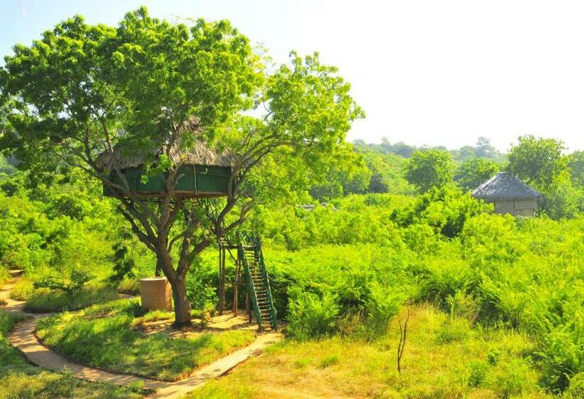 Дом 1 Спальня, Yala Beddegama Eco