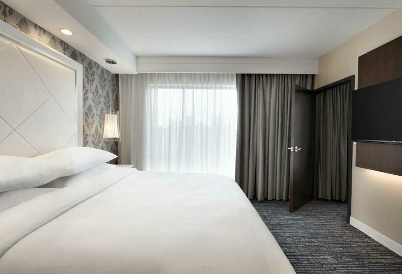 Люкс 2 Спальни, Embassy Suites By Hilton Atlanta Ne Gwinnett Sugarloaf