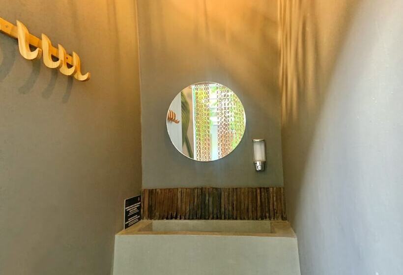 공동 객실, Hostel Boutique Musa Paradisiaca