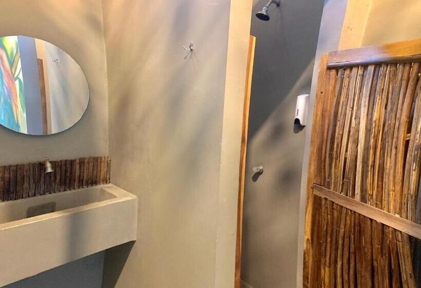 공동 객실, Hostel Boutique Musa Paradisiaca