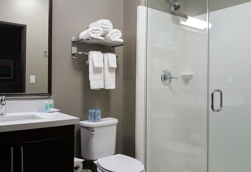 Люкс Адаптированный для Инвалидов, Mainstay Suites Midland