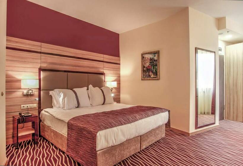 스탠다드 룸, Holiday Inn Plovdiv, An Ihg
