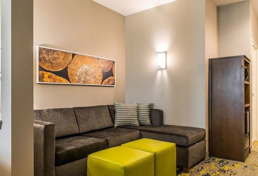 스위트, Comfort Inn & Suites Valdosta