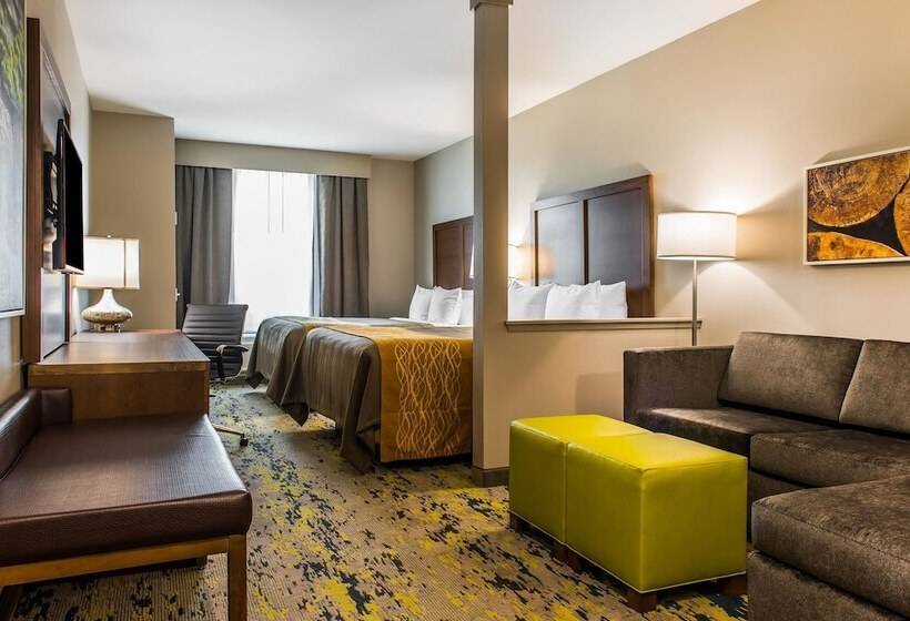 스위트, Comfort Inn & Suites Valdosta