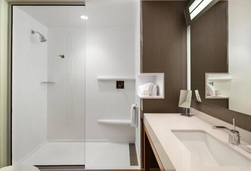 Стандартный Номер Кровать Кинг, Courtyard By Marriott Erie Bayfront