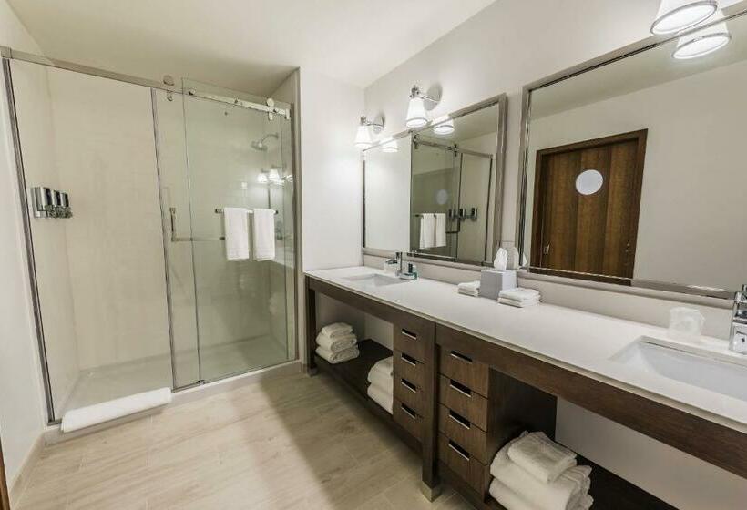 高级大房间, Four Points By Sheraton Houston Energy Corridor