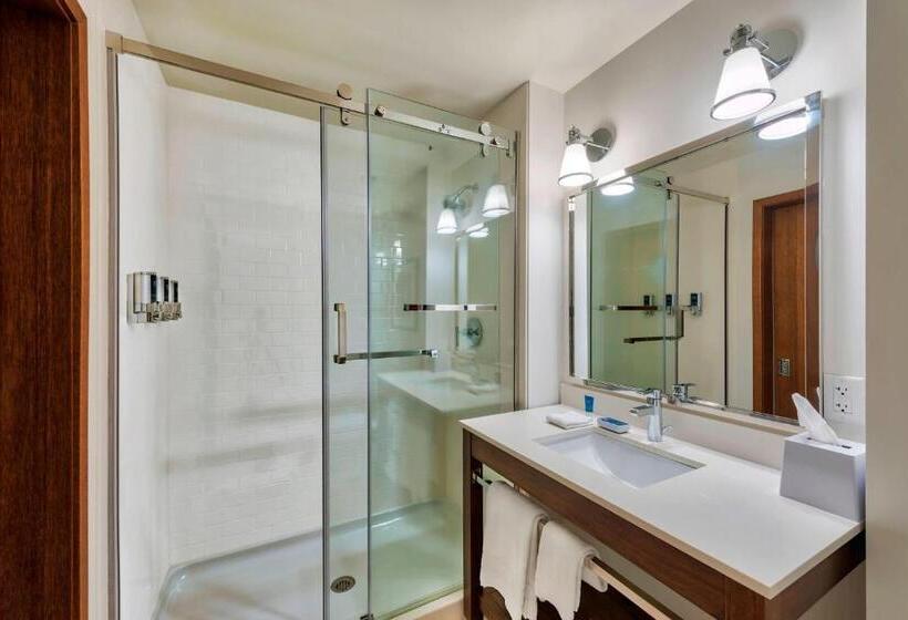 带大床的套房, Four Points By Sheraton Houston Energy Corridor