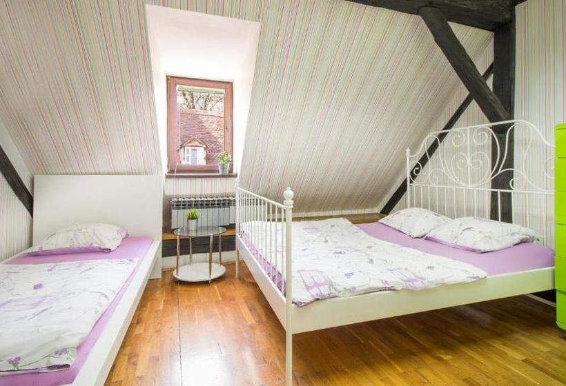 اتاق استاندارد با سرویس بهداشتی مشترک, Hostel Centar