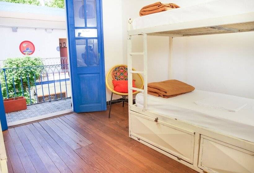 스탠다드 룸 공동 욕실, Viajero Colonia Hostel