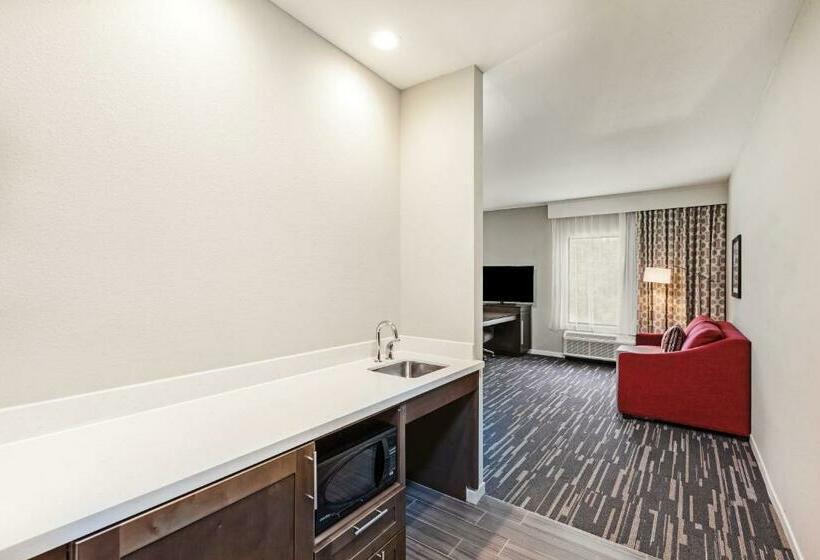 キングサイズベッドのスイートルーム, Hampton Inn & Suites Houston/atascocita