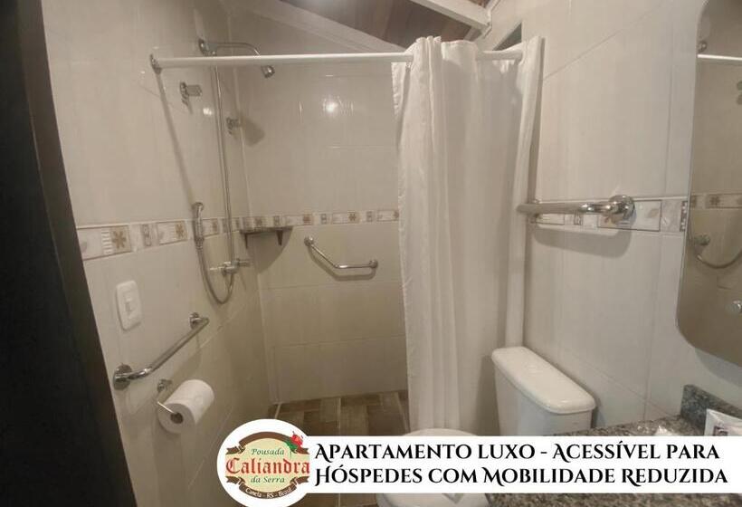 Апартаменты Deluxe 1 Спальня, Pousada Caliandra Da Serra