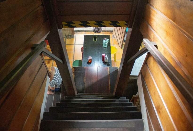 Кровать в Общей Комнате, Sagui Hostel