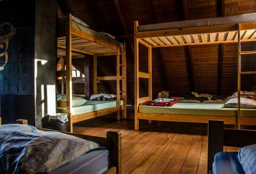 Кровать в Общей Комнате, Sagui Hostel