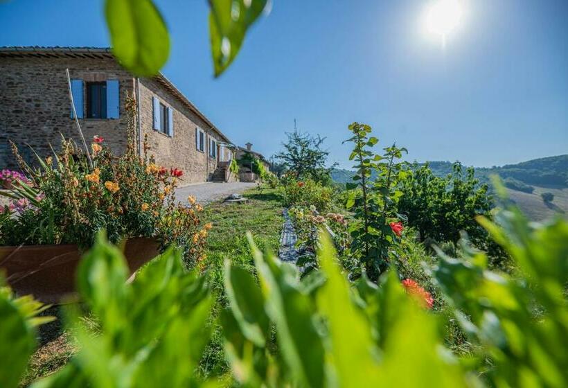Номер Стандарт, Suite Con Bagno In Villa Esclusiva   Urbino