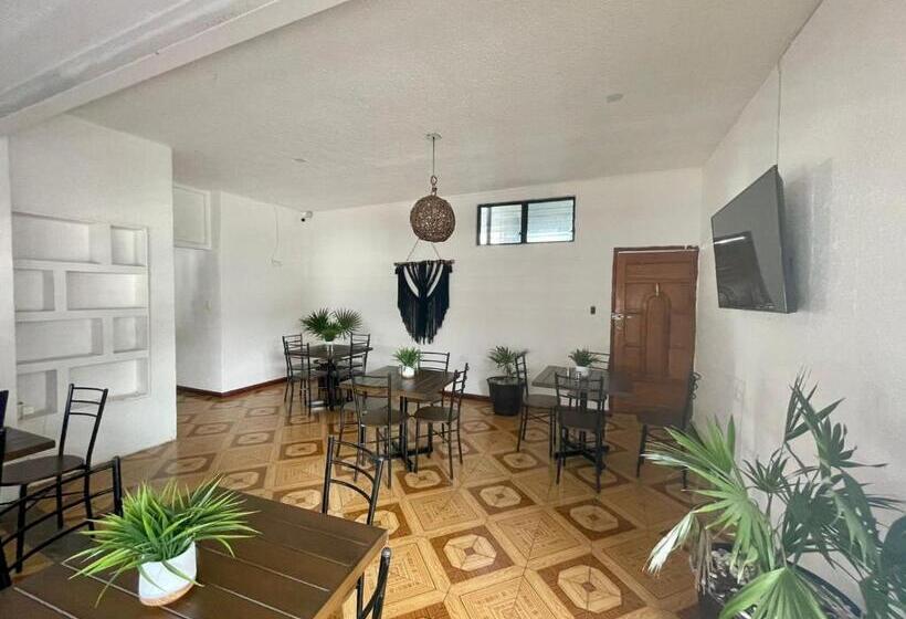Suite mit Poolblick, Balam Playa   15Th. Ave