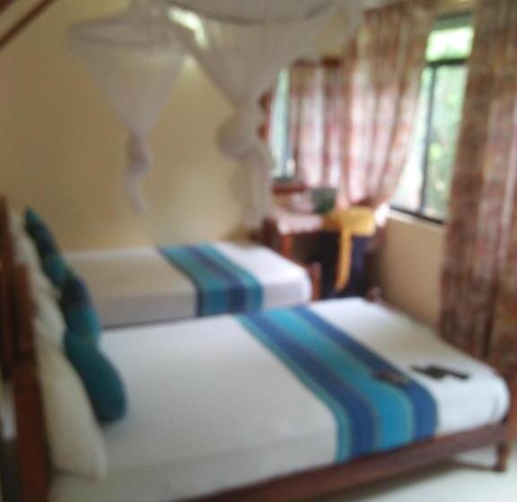 Family Suite, Mr Tourist