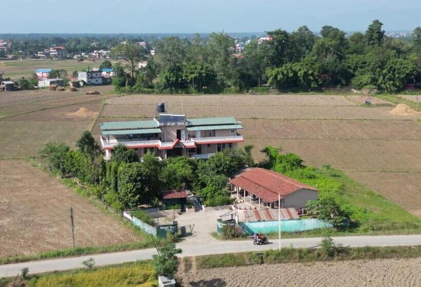 اتاق استاندارد, Tree Tops  A Serene Friendly Hotel In Sauraha