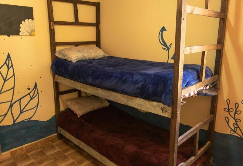 Кровать в Общей Комнате, Acusi Hostel Camping