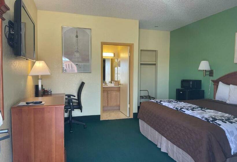 标准单人间, Relax Inn Dilley