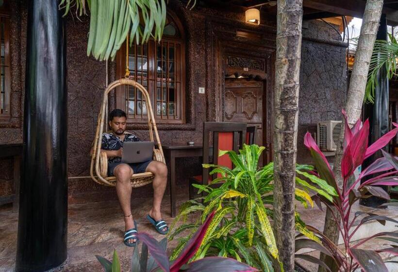 Cama em Quarto Superior Compartilhado, Madpackers Goa Anjuna   Bunks, Rooms, Community
