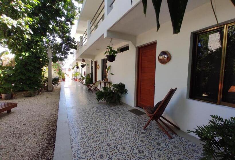 اتاق لوکس, Casa Mercedes