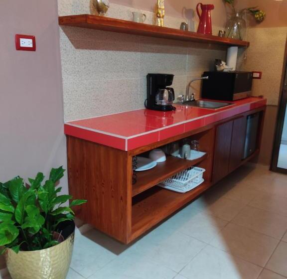 اتاق لوکس, Casa Mercedes