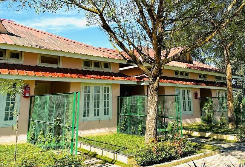 디럭스 룸 킹사이즈 침대, Green Paradise Hotel And Resort