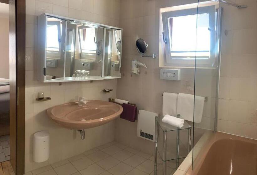 Номер Комфорт, Gästehaus Sissy