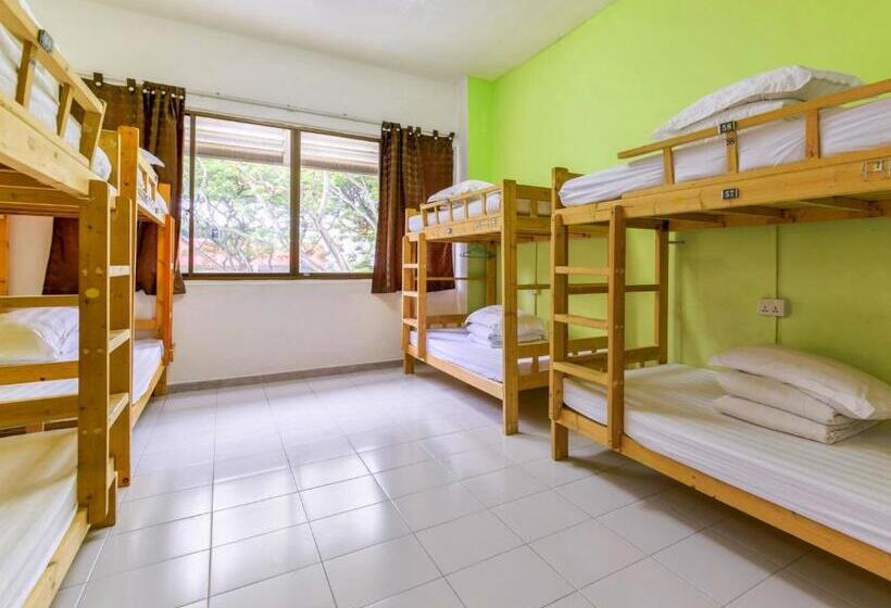 سرير فى غرفة مشتركه, 普吉岛 安达曼海滩海景度假酒店 Phuket Andaman Beach Seaview