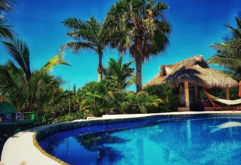 １階の１ベッドルームアパートメント, Ocean Oasis Hotel   Adult Only, Four Casitas Boutique Resort