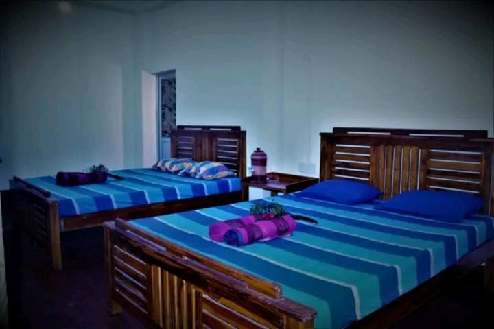 Семейный Номер, The Green Heritance   Habarana