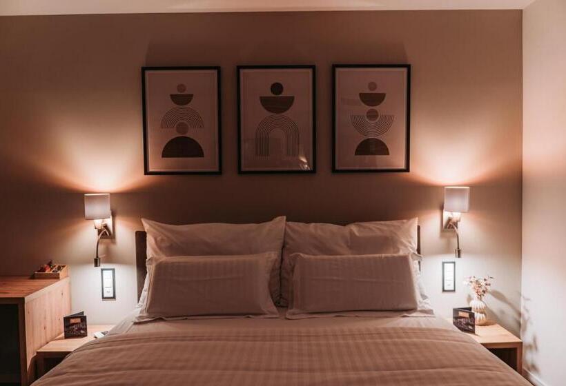 جناح ديلوكس, Hôtel Du Midi