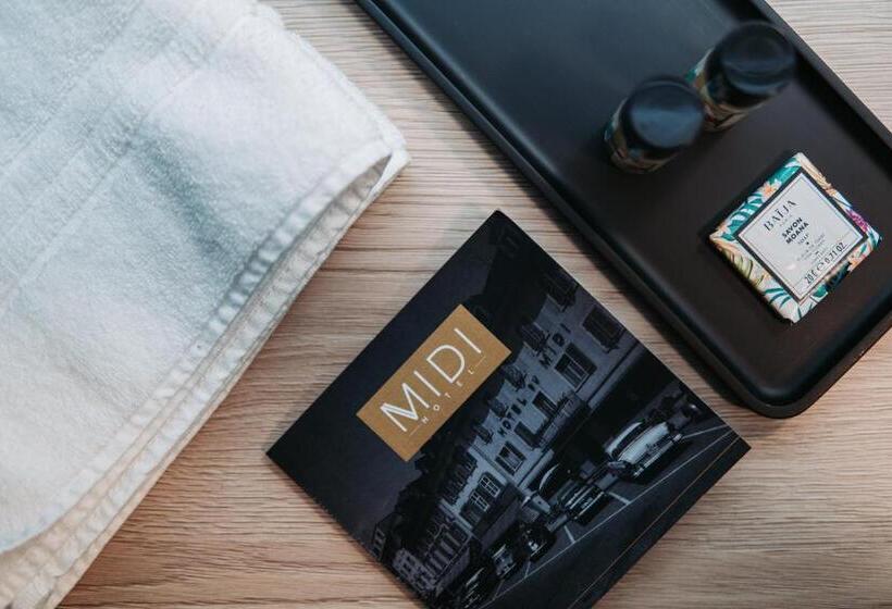 适合残疾人士使用的带超级大床的标准间, Hôtel Du Midi