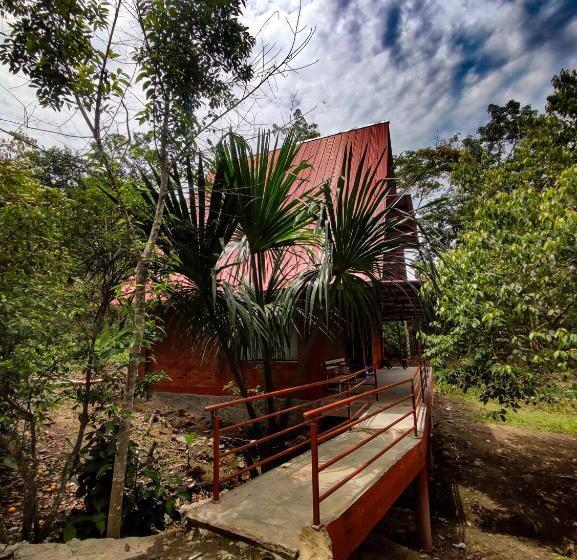 스탠다드 룸 호수 전망, Cabañas Ecowasi