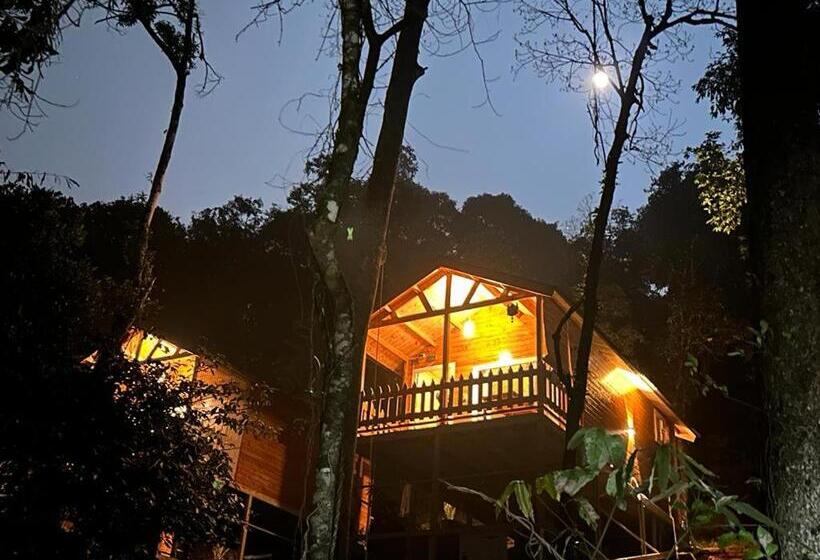 带花园景观的标准三人间, Coorg Jungle Mist