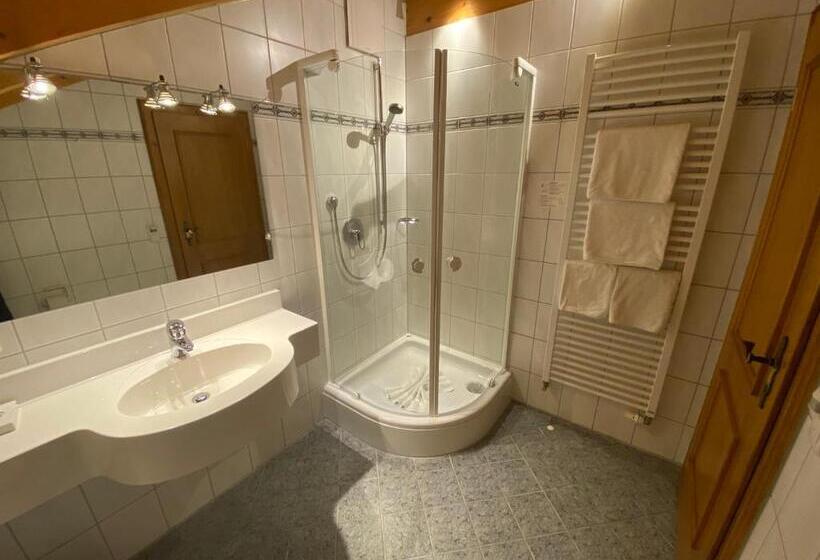 Номер Стандарт, Kur  Und Ferienhotel Haser