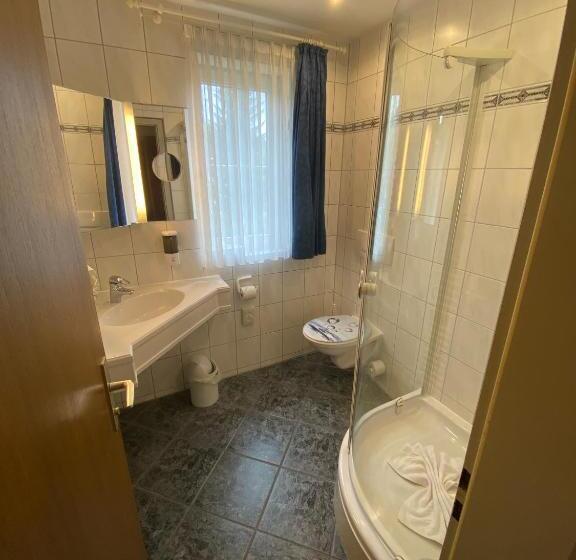 Номер Стандарт с Балконом, Kur  Und Ferienhotel Haser
