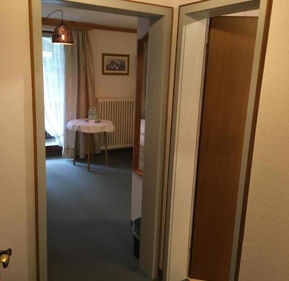 Номер Стандарт с Балконом, Kur  Und Ferienhotel Haser