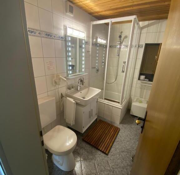 Номер Стандарт, Kur  Und Ferienhotel Haser