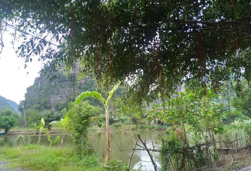 اتاق لوکس خانوادگی, Trang An Gold Village