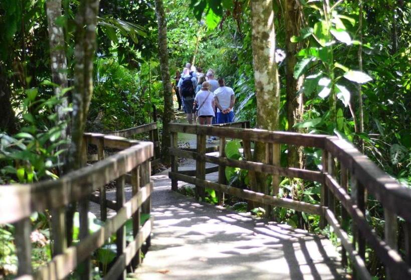 Четырехместный Номер Стандарт, Veragua Rainforest