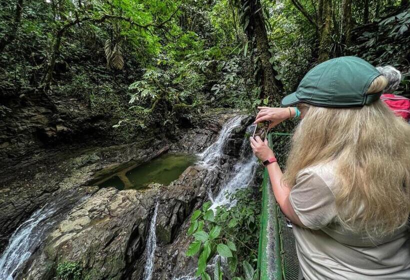Семейный Номер, Veragua Rainforest