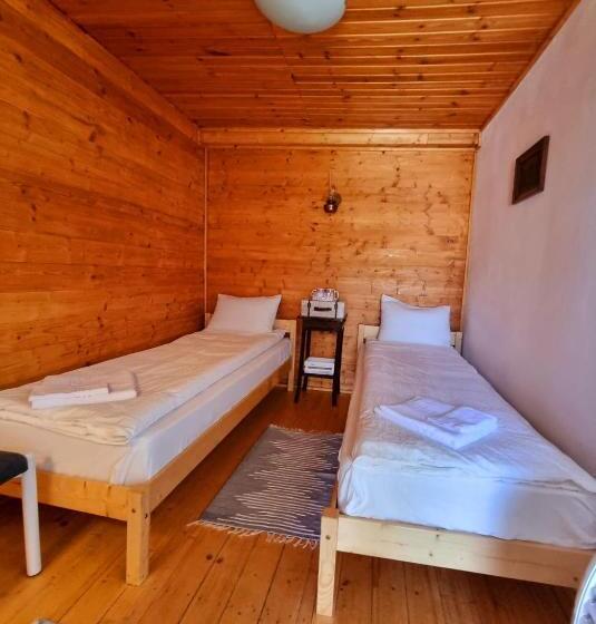 Номер Стандарт, Poiana Maramureseana