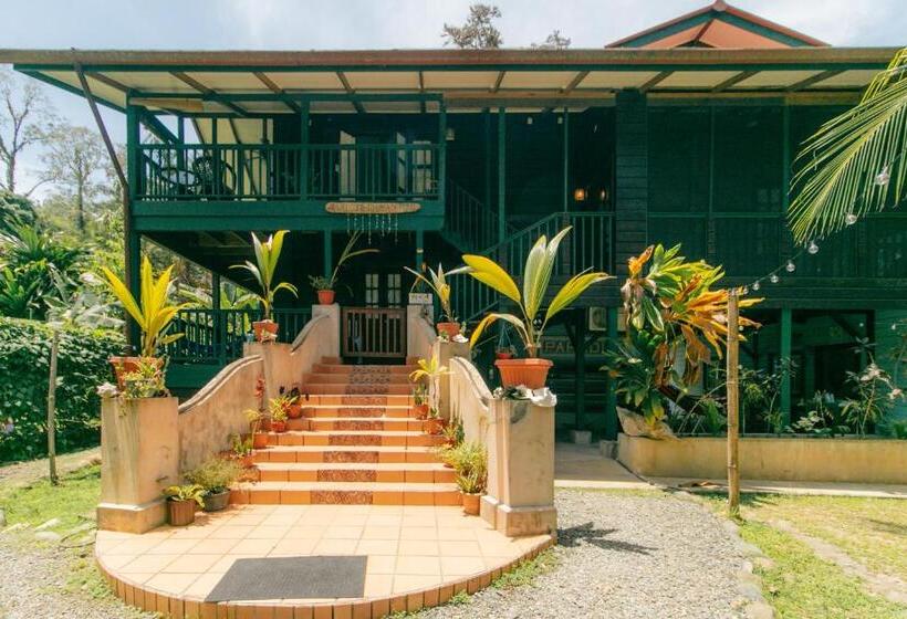 غرفة قياسية سرير كينج, Casa De Mono Bocas
