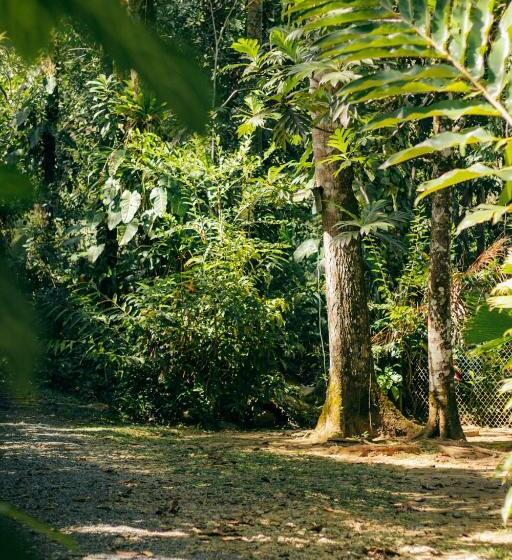 شقة 3 غرف, Casa De Mono Bocas